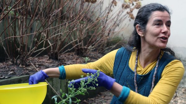 L’écoféminisme pour une terre qui tourne rond