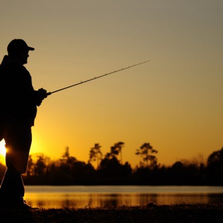  Secteur de la pêche et migrations au Sénégal