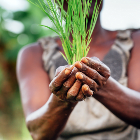 Crise alimentaire : approvisionnement, transition agroécologique 